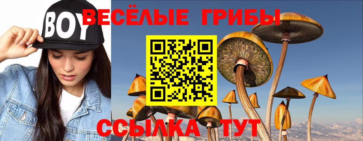 Норильск  Галлюциногенные грибы Cubensis  Вход с VPN  Галлюциногенные грибы мицелий 