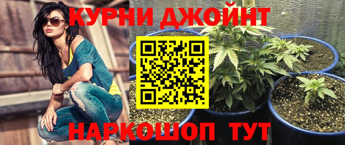 Марихуана LSD WEED  Вход с VPN  Шишки марихуана SATIVA & INDICA  Норильск  Марихуана LSD WEED 